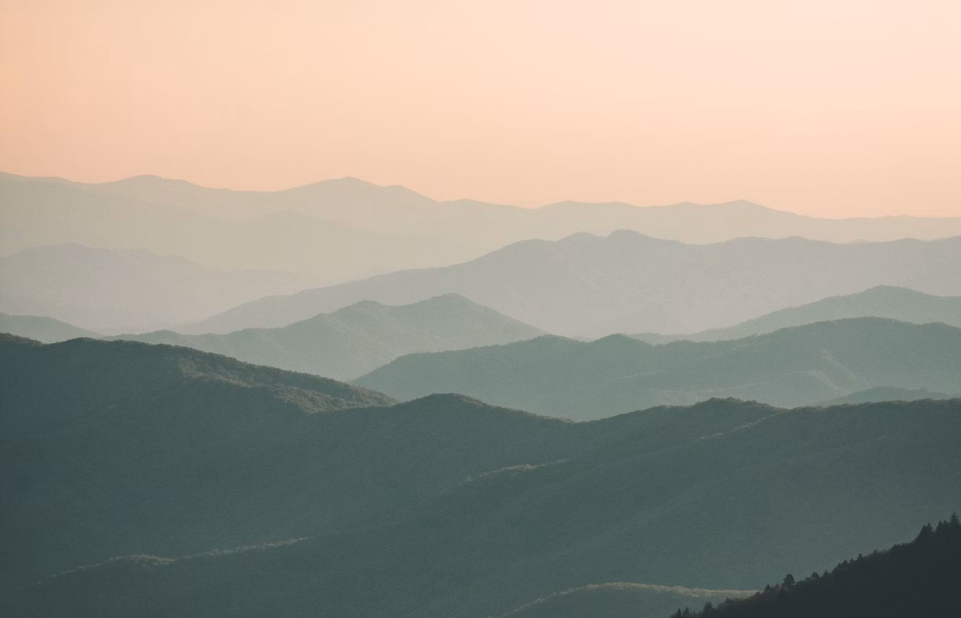 Внутренняя опора онлайн в Москва